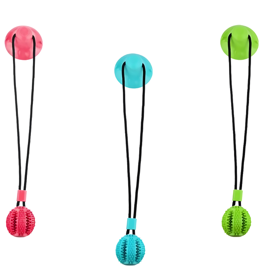 Heavy-Duty Suction Cup Dog Toy for Tugging & Chewing