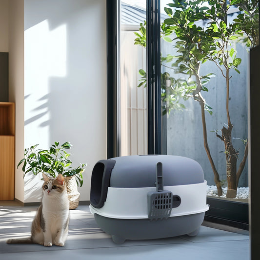 Cat sitting next to a modern cat litter box in a bright room with plants.
