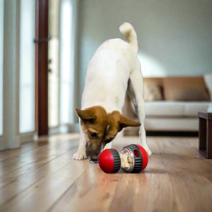Dog using the Interactive Slow Feeder Dog Toy in a living room 