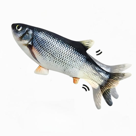 Toy fish with a white background