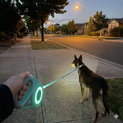 Dog on a leash held by a glowing device on a sidewalk at dusk.