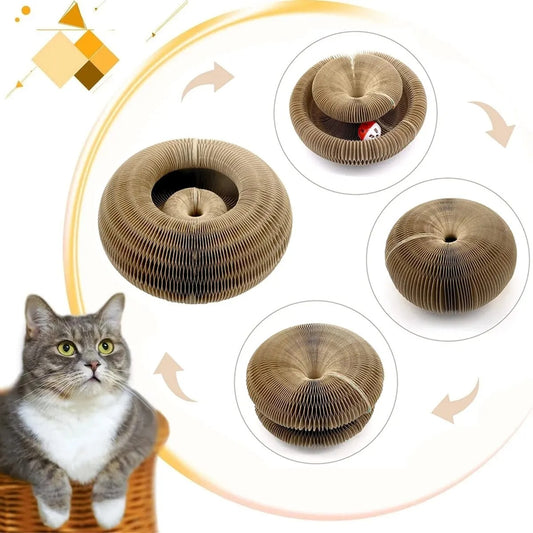 Cat sitting next to a cardboard cat tree with multiple views on a white background