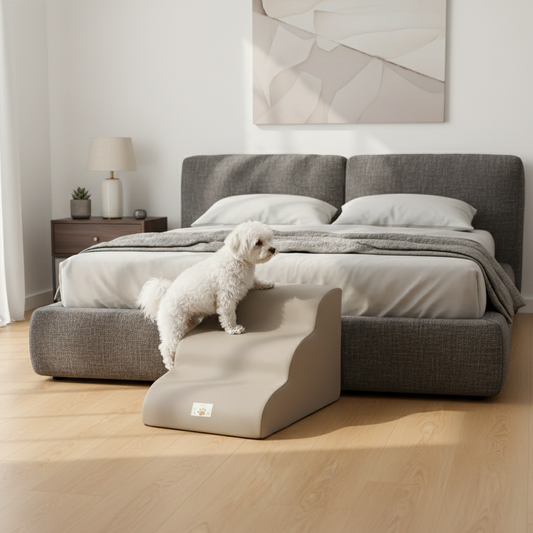 Dog using a ramp to climb onto a bed in a bedroom setting