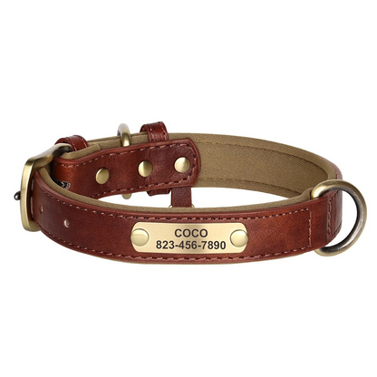 Brown leather dog collar with a brass nameplate on a white background