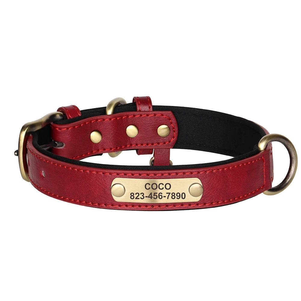 Red leather dog collar with gold hardware and a nameplate on a white background