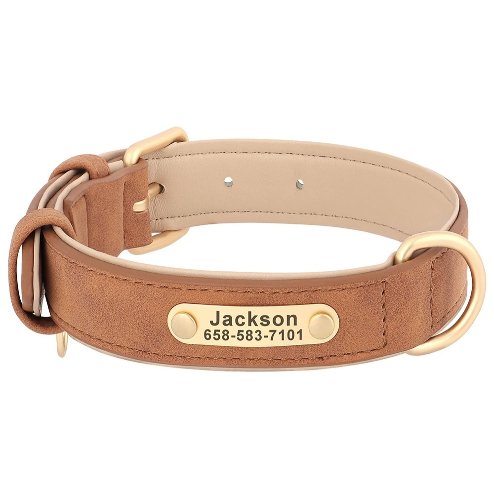 Brown leather dog collar with a nameplate on a white background