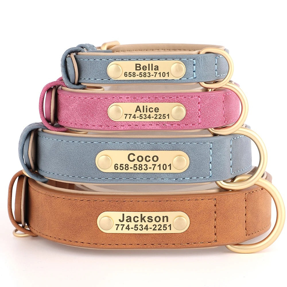 Stack of four dog collars with engraved names and phone numbers on a white background