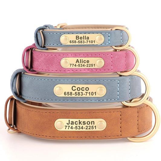 Stack of four dog collars with engraved names and phone numbers on a white background