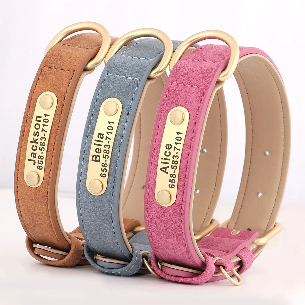 Three dog collars in brown, gray, and pink with gold nameplates on a white background