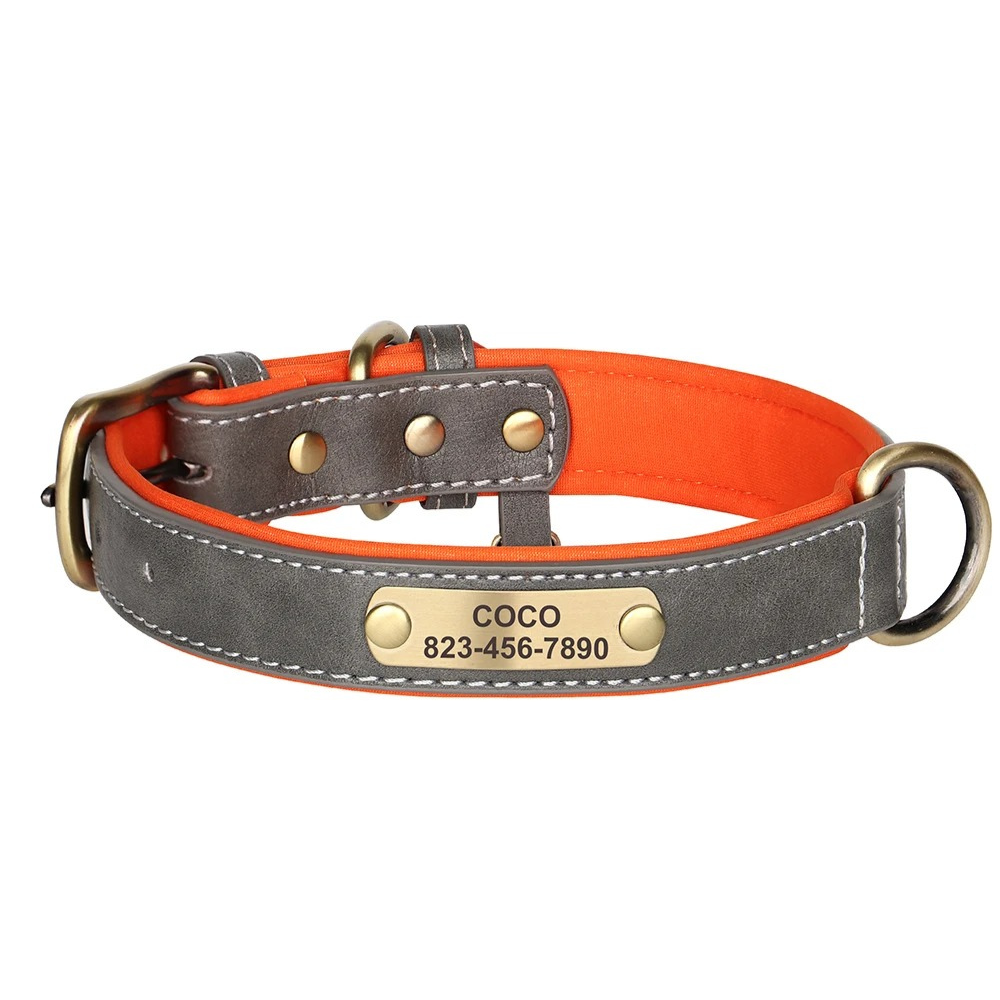 Gray leather dog collar with orange interior and gold nameplate on a white background