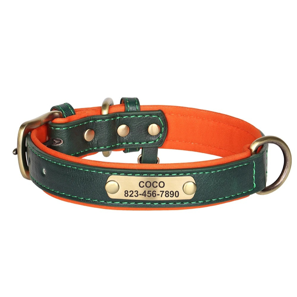 Green and orange dog collar with a nameplate on a white background
