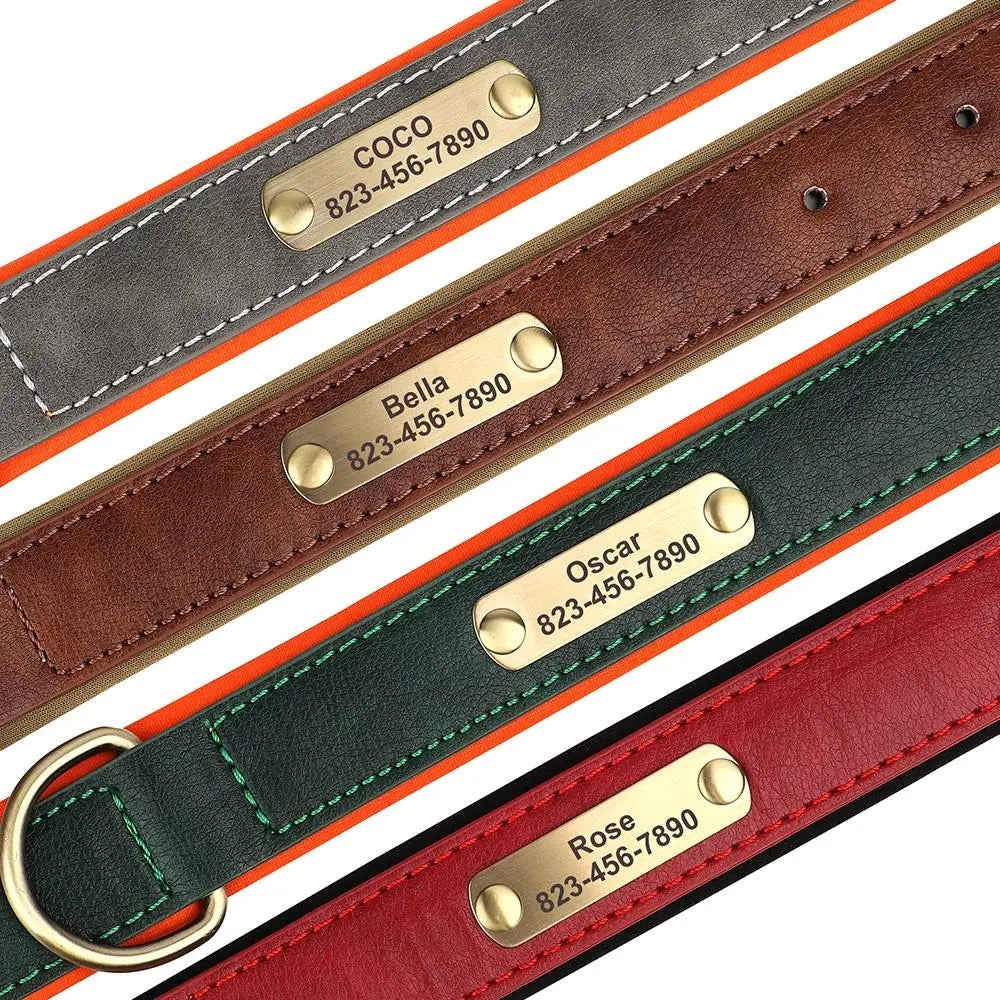Set of leather dog collars with engraved nameplates in various colors.