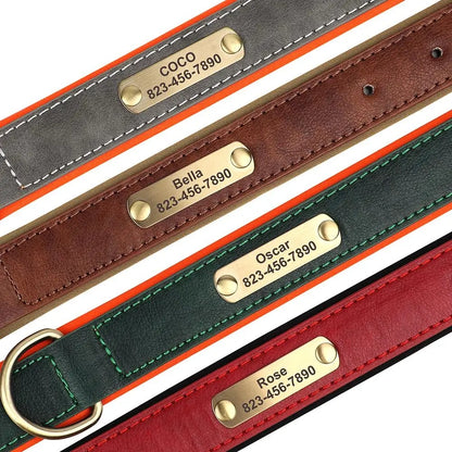 Set of leather dog collars with engraved nameplates in various colors.