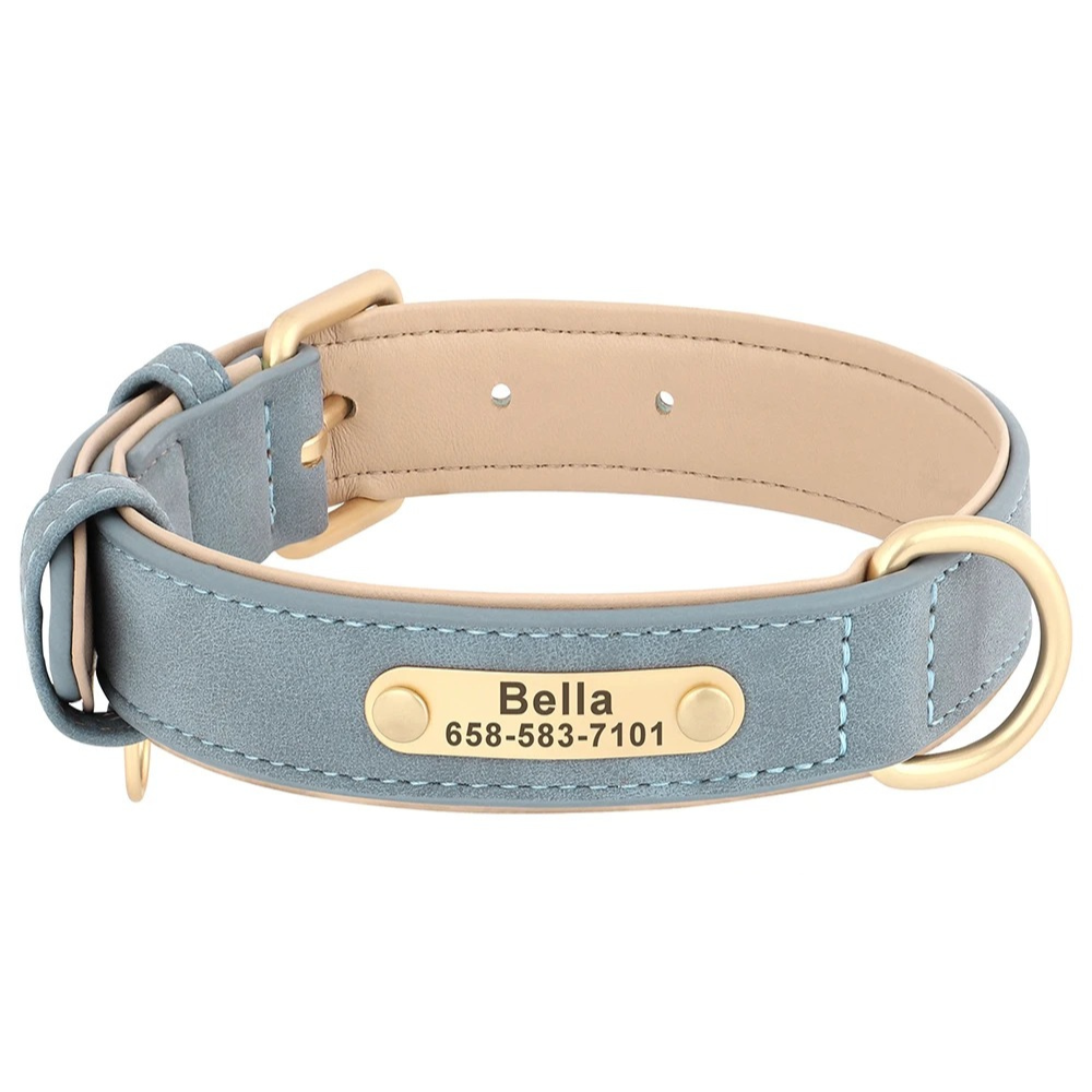 Dog collar with nameplate on a white background