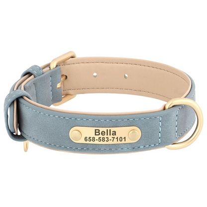 Dog collar with nameplate on a white background