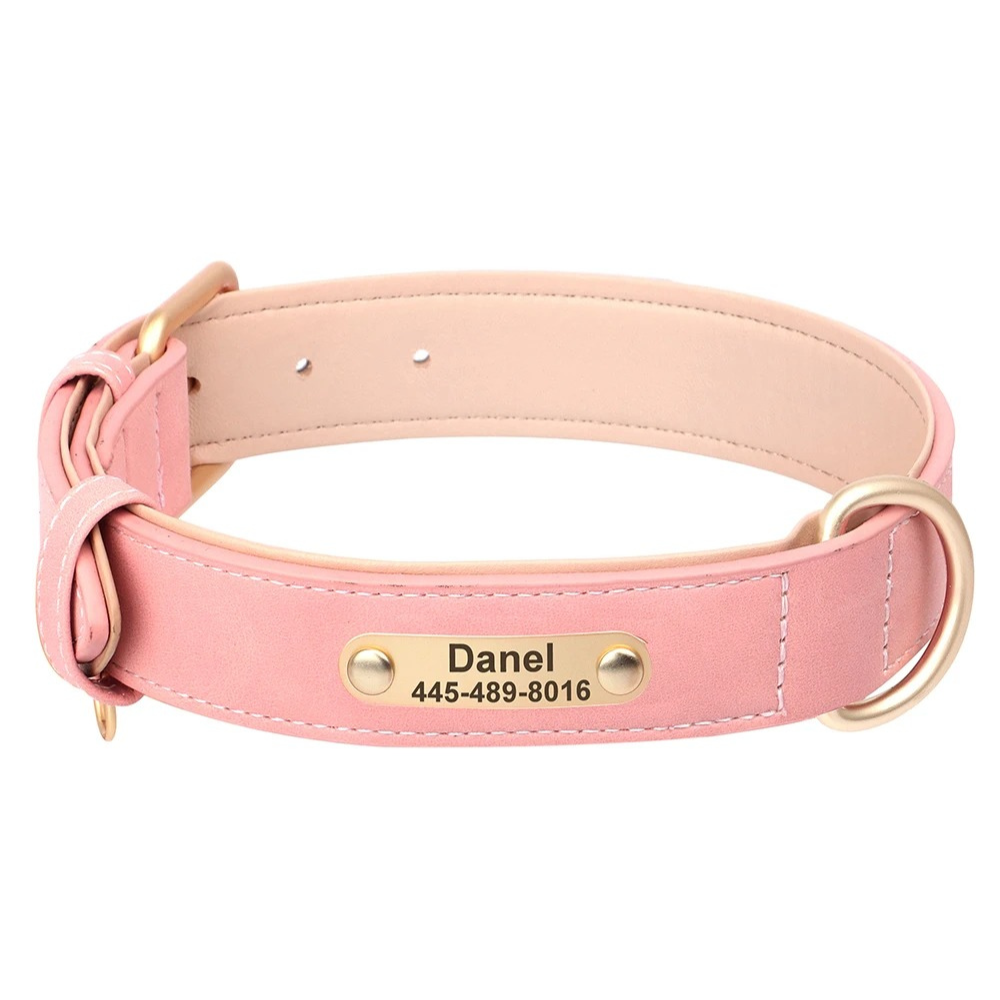 Pink dog collar with a nameplate on a white background