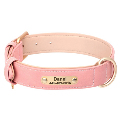 Pink dog collar with a nameplate on a white background