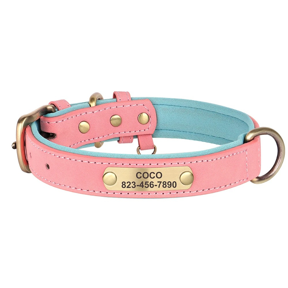 Pink and blue dog collar with gold hardware on a white background
