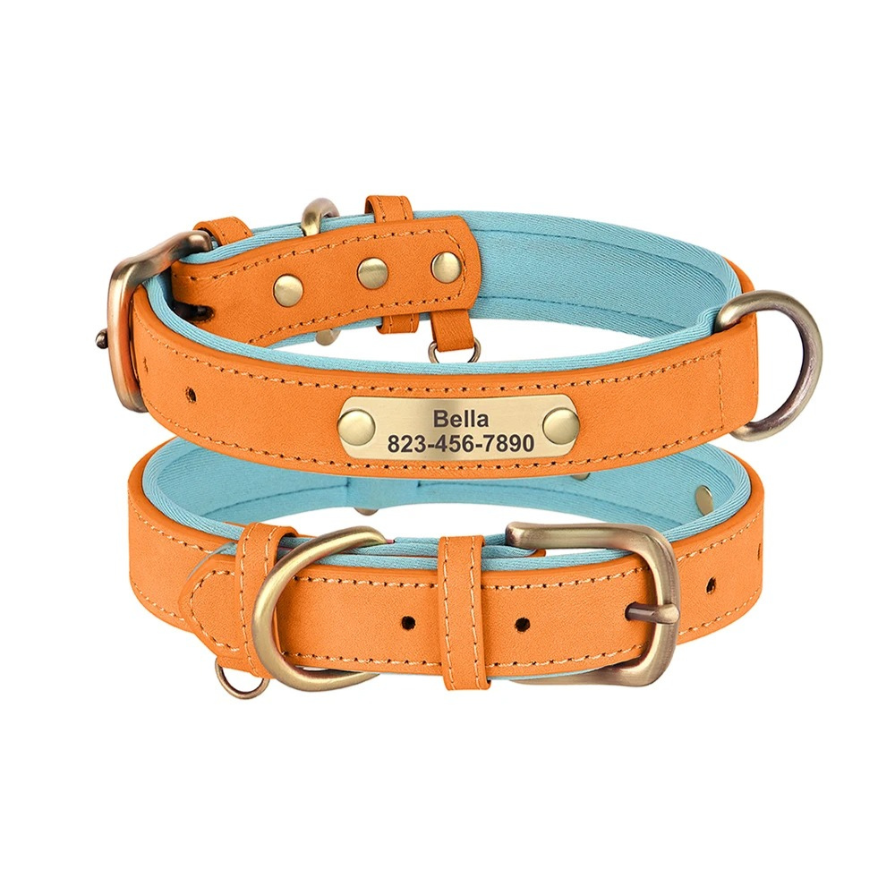 Two dog collars, one orange and one light blue, with engraved names on a white background.