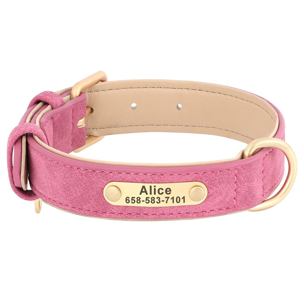 Pink dog collar with a nameplate on a white background