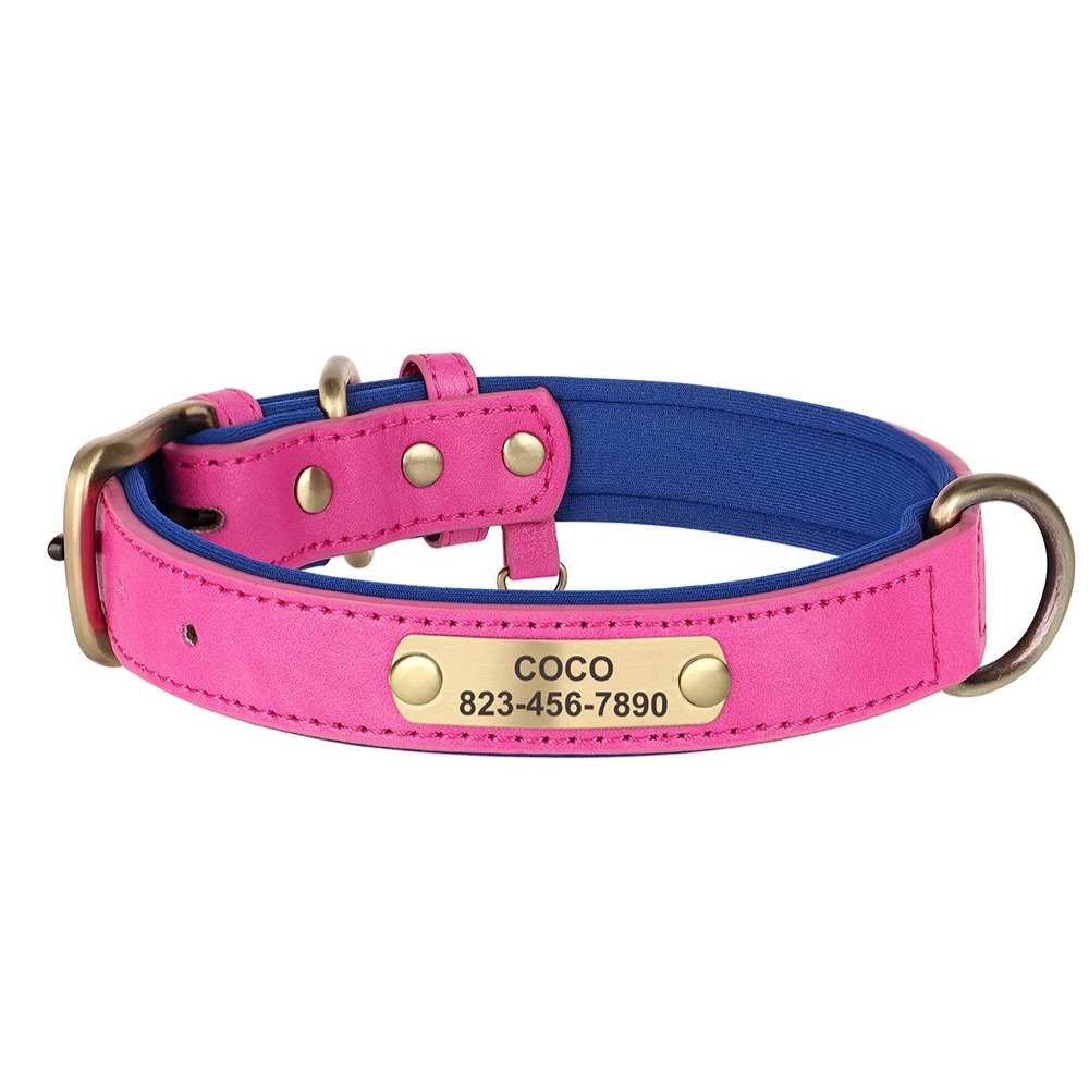 Pink and blue dog collar with a nameplate on a white background