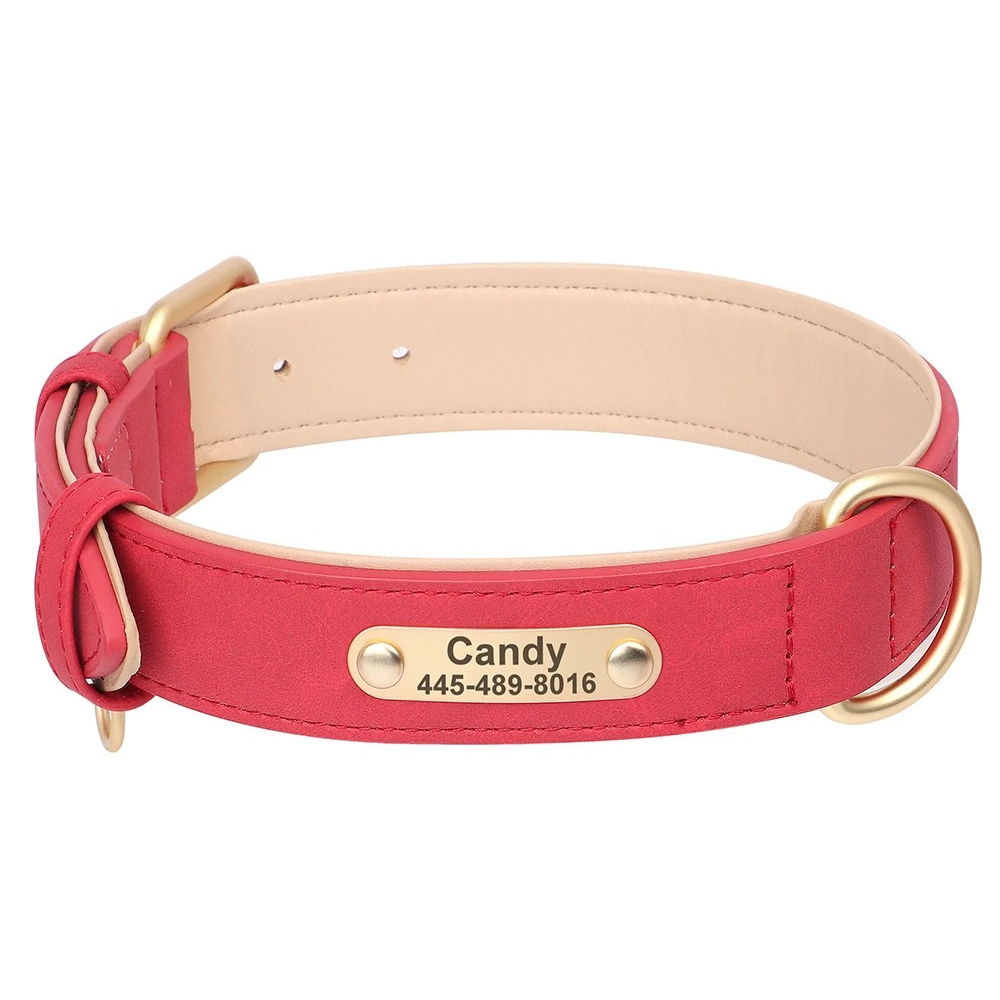 Red dog collar with beige leather strap and nameplate on a white background