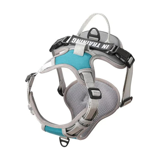 Personalized Adjustable Dog Harness