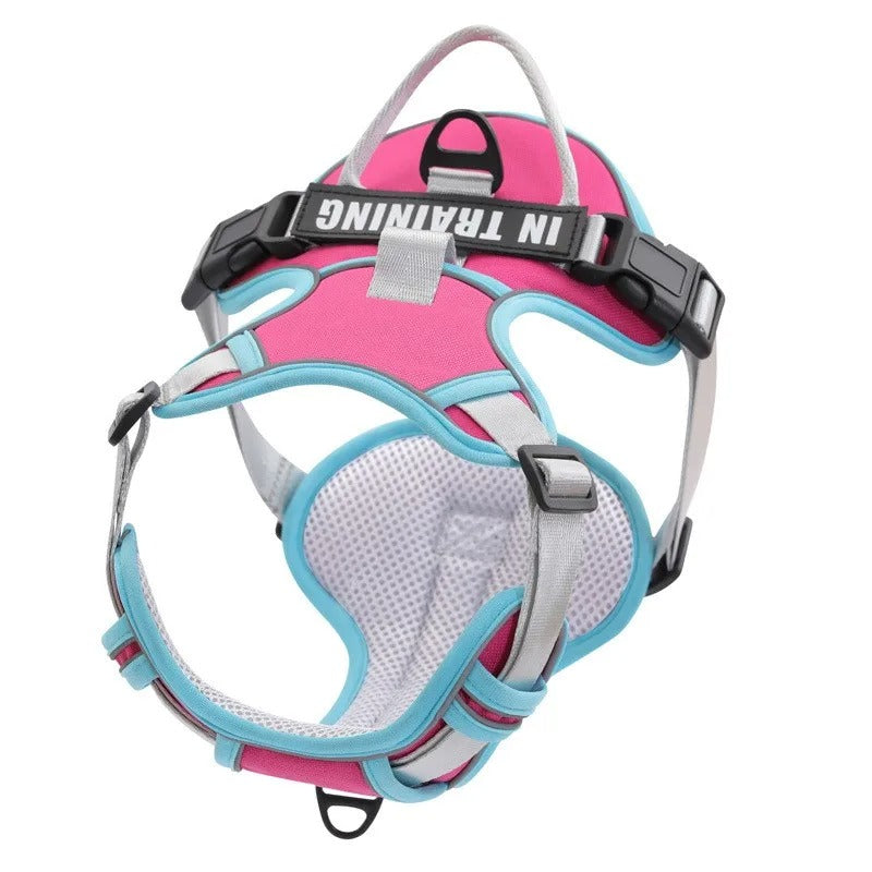 Personalized Adjustable Dog Harness