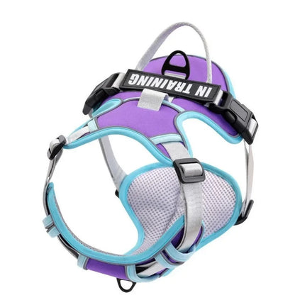 Personalized Adjustable Dog Harness