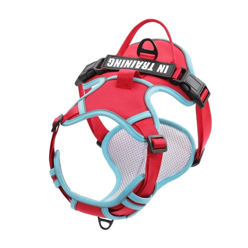 Personalized Adjustable Dog Harness