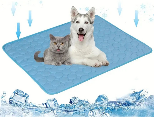 Two pets lying on a blue cooling pad with ice cube graphics.