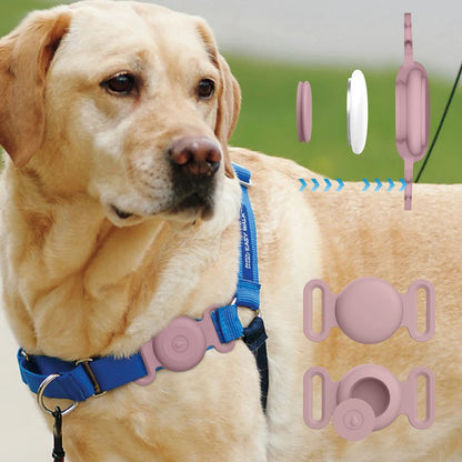 Dog wearing a blue collar with pink buckles, accompanied by additional pink buckles on a green background.