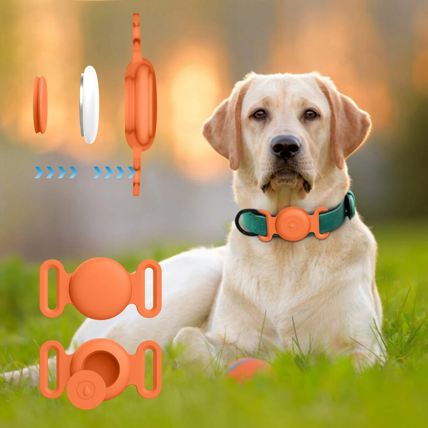 Dog wearing a green and orange collar with additional components on a grassy background