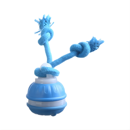 Blue dog toy with a ball and rope on a white background