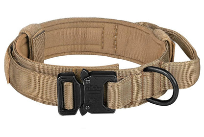Tan belt with black buckle and size chart on a white background