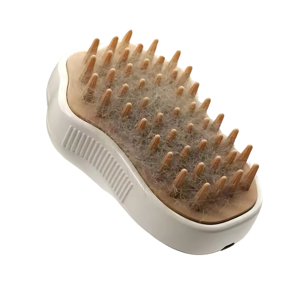 Cat Brush with Steam