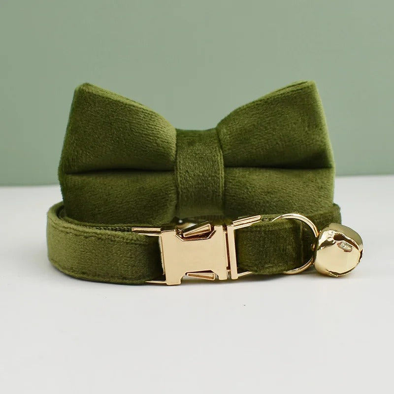 Green cat collar with a large bow and gold buckle on a light green background