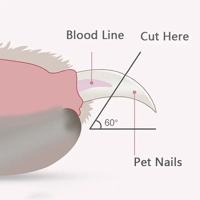 Pet Nail Clipper with LED Light