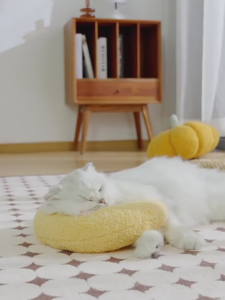A video of a cat resting its head on a U-shaped cat hugging pillow 