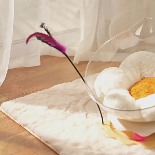 A video of a cat sitting inside an acrylic capsule-shaped cat bowl, which is placed on a white surface with a toy wand and a track ball next to it.